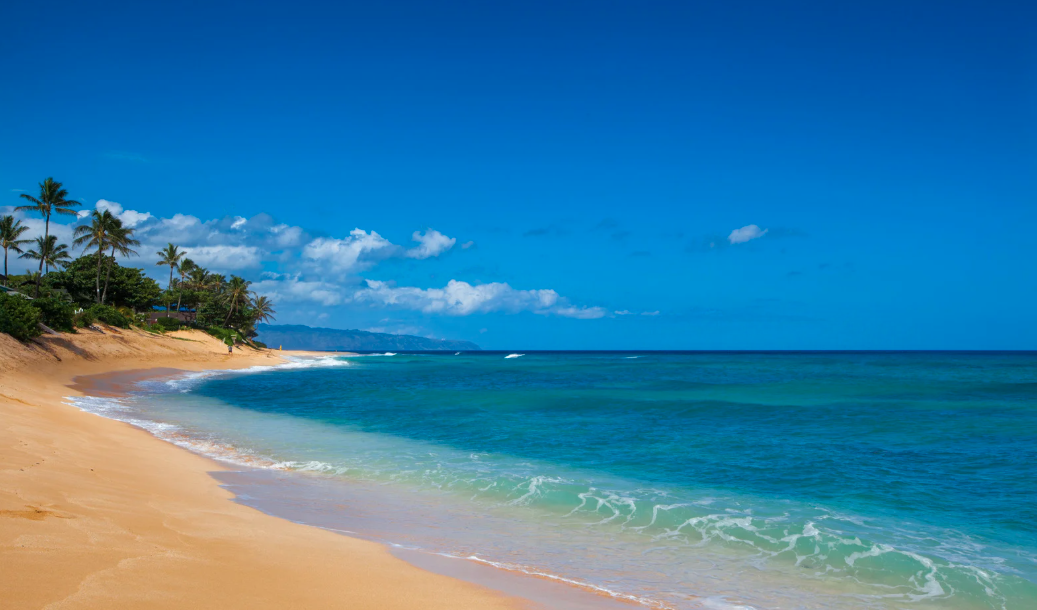 Oahu's Zoning Rules Oahu's Zoning Rules