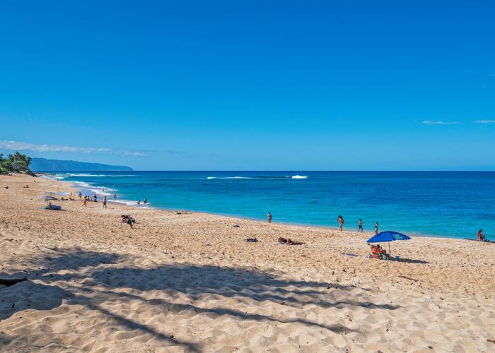 Ali'i Beach Rentals