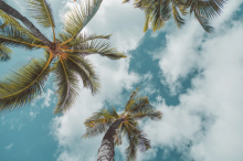sustainable tourism in Oahu