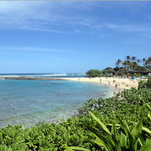 North Shore Oahu Vacation Rentals