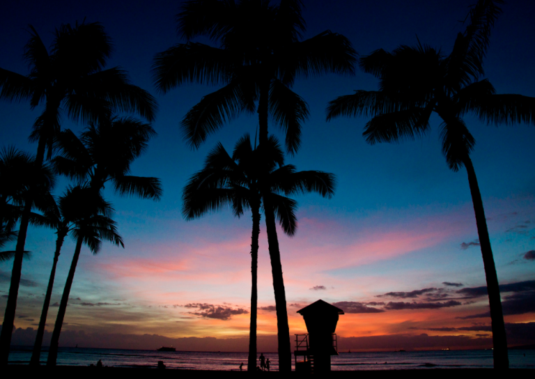 Watch The Sunset at Waikiki Beach Watch The Sunset at Waikiki Beach