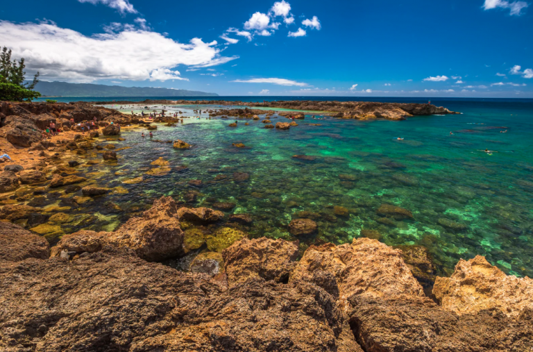 North Shore Oahu Sharks Cove