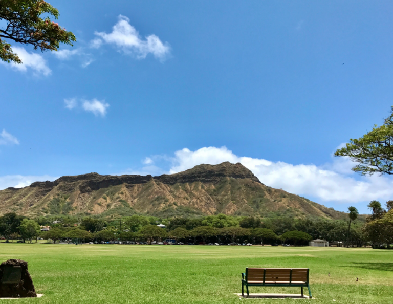 Picnic at Kapiolani Park Picnic at Kapiolani Park
