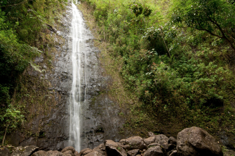 Manoa Falls Hike Oahu Manoa Falls Hike Oahu