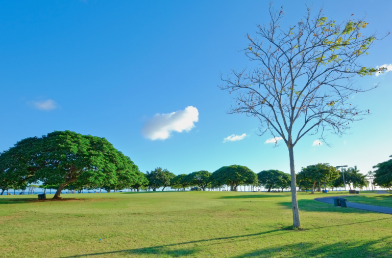Ala Moana Beach Park Ala Moana Beach Park
