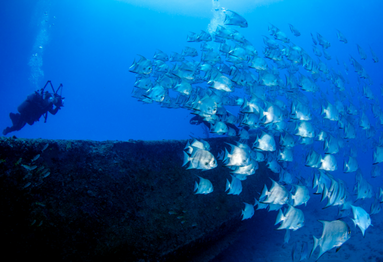Scuba Dive Oahu Ship Wrecks Scuba Dive